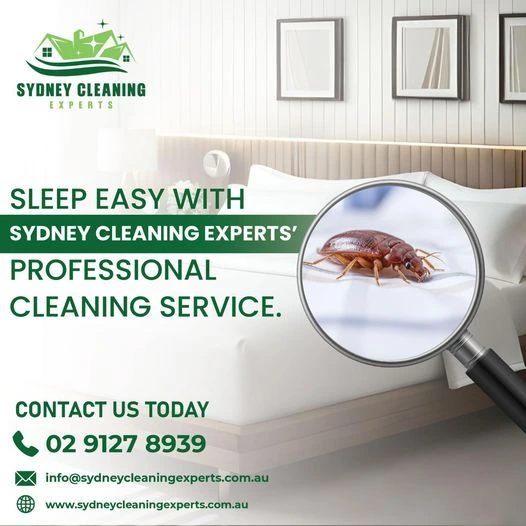 Carpet Steam Cleaning