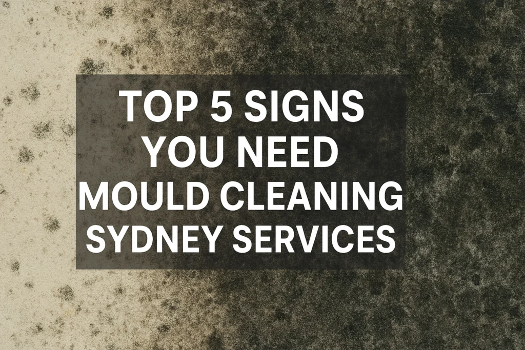 Mould Cleaning Sydney